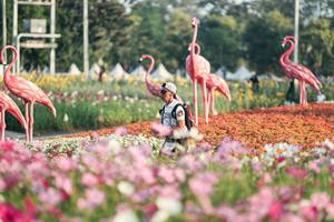 BIB: 
                            <button type="button" onclick="openModal(27344134)" class="btn btn-primary btn-sm float-right btn-popup" data-toggle="modal" data-target=".modal-high-quality">
                        <i class="fas fa-shopping-cart"></i> Add to Cart
                    </button>
                                            <button type="button" onclick="isThisMe(27344134, true)" class="btn btn-success btn-sm float-right btn-popup btn-isme hidden" data-toggle="tooltip" data-placement="bottom" title="นี่คือรูปของคุณใช่ไหม คลิกที่นี่เพื่อเอาเข้าอัลบั้ม">
                        <i class="fas fa-plus"></i> Add to album
                    </button>
                    <button type="button" onclick="isThisMe(27344134, false)" class="btn btn-warning btn-sm float-right btn-popup btn-isnotme hidden">
                        <i class="fas fa-ban"></i> Remove from album
                    </button>